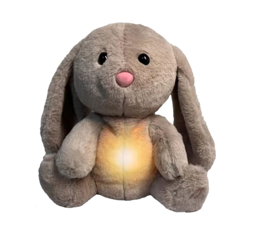 ZenifyBunny
