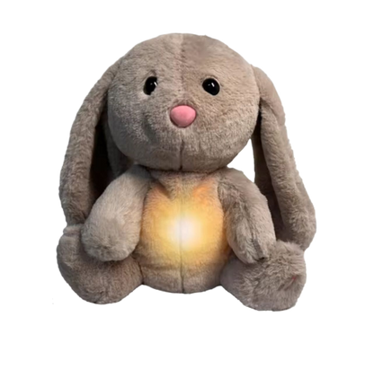ZenifyBunny