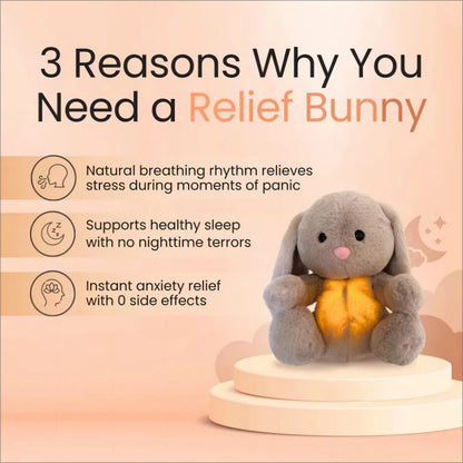 ZenifyBunny