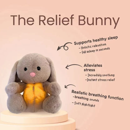 ZenifyBunny