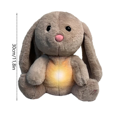 ZenifyBunny